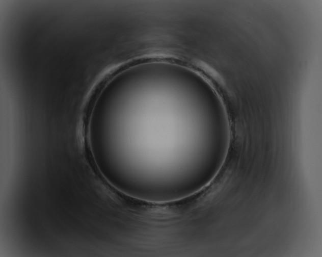 X0000100781408200806191253