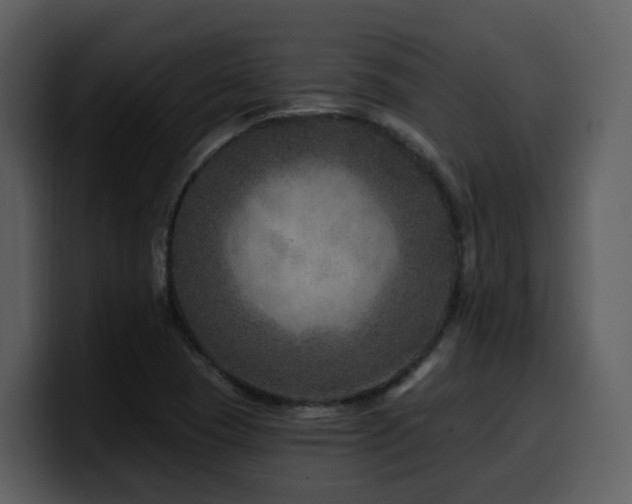 X0000100781409200806191253