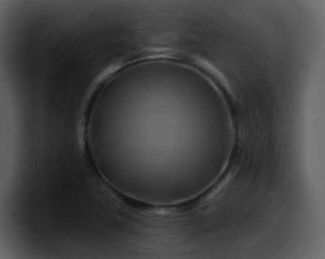 X0000100781411200806191253