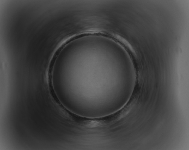 X0000100781412200806191253