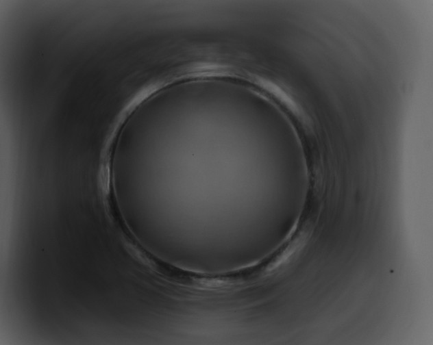 X0000100781413200806191253