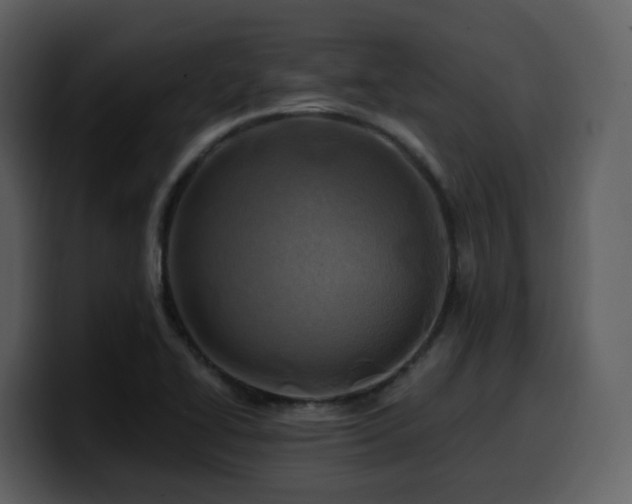 X0000100781414200806191253