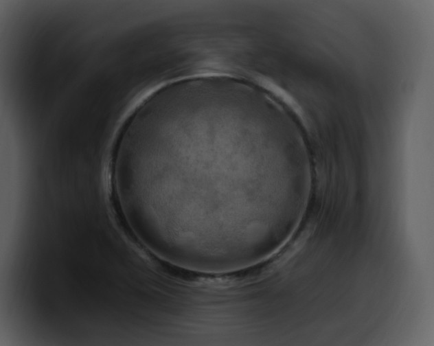 X0000100781415200806191253