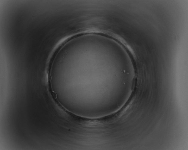 X0000100781416200806191253