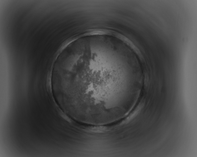 X0000100781417200806191253