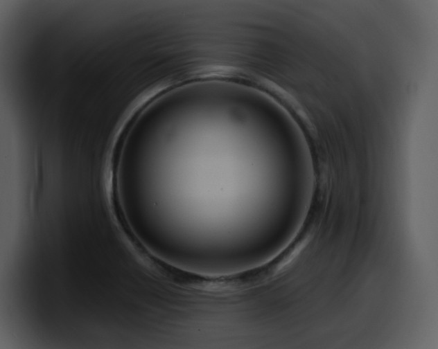 X0000100781418200806191253