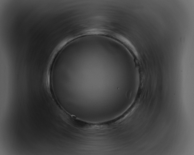 X0000100781419200806191253