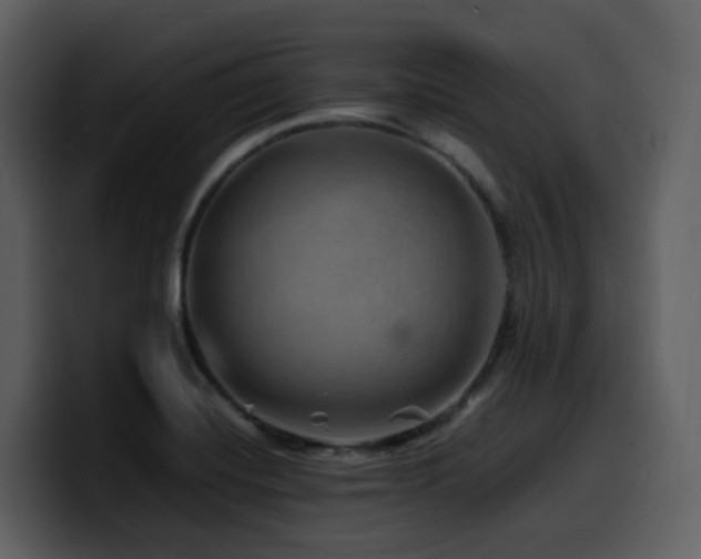 X0000100781420200806191253