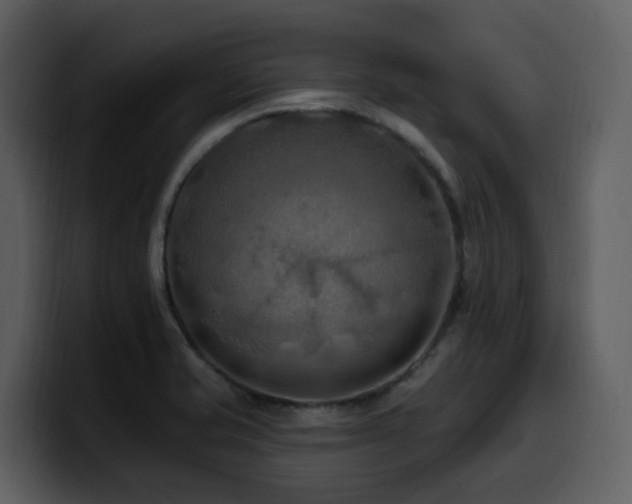 X0000100781421200806191253