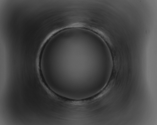 X0000100781422200806191253