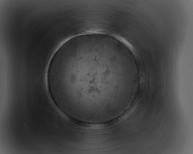 X0000100781423200806191253