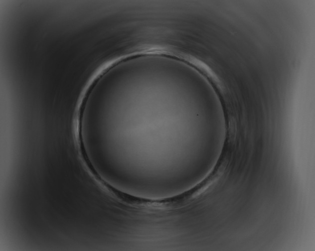 X0000100781424200806191253