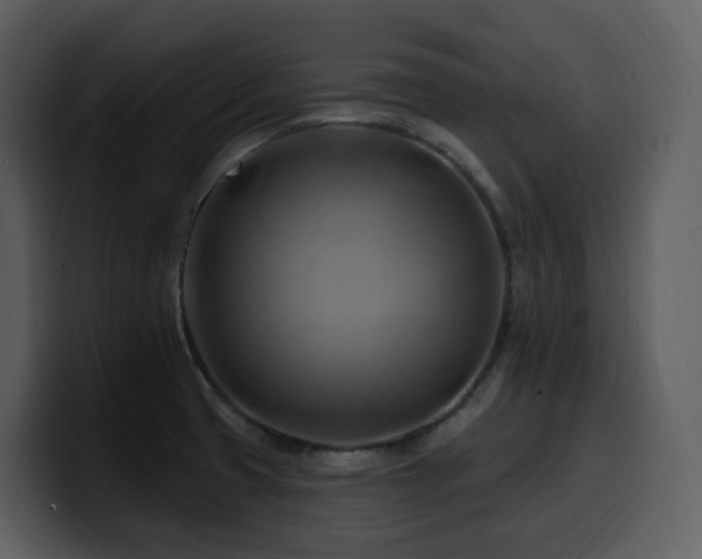 X0000100781425200806191253