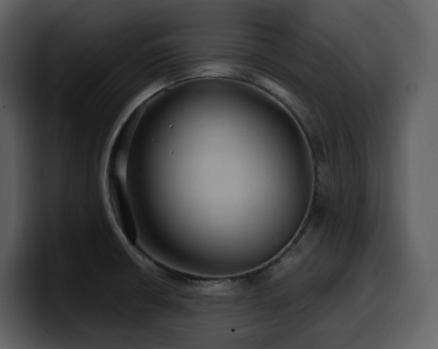 X0000100781426200806191253