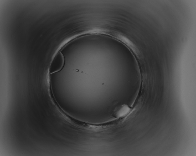 X0000100781428200806191253