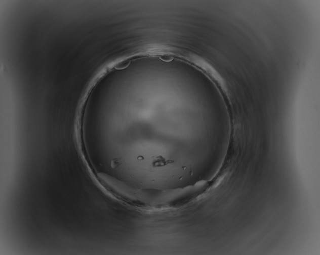 X0000100781429200806191253