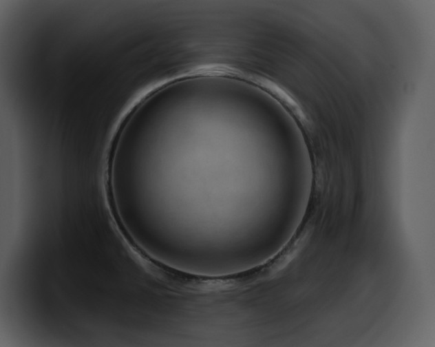 X0000100781430200806191253