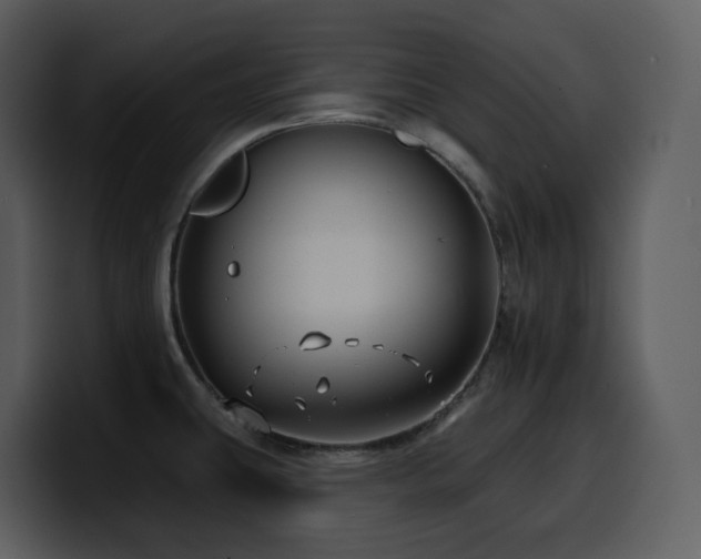 X0000100781431200806191253