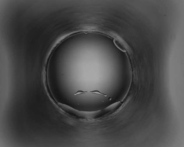 X0000100781432200806191253