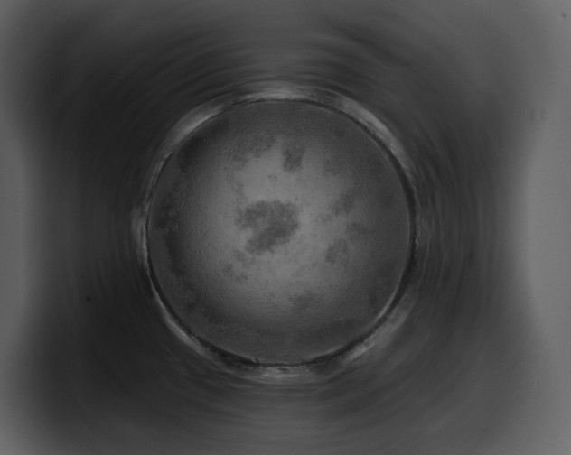 X0000100781433200806191253