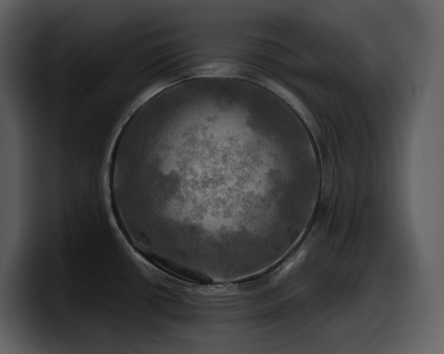 X0000100781434200806191253