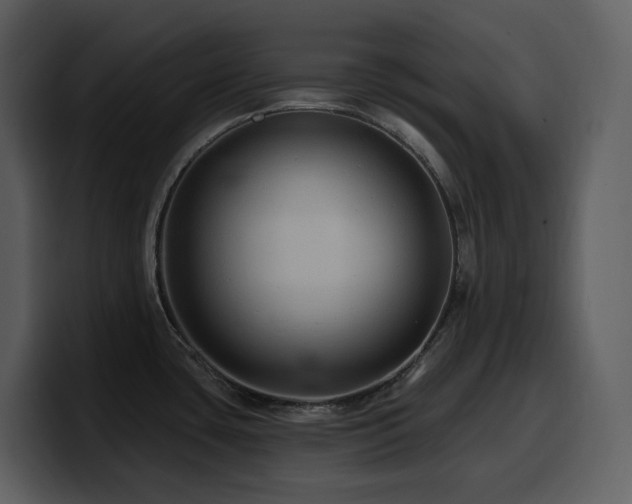 X0000100781435200806191253