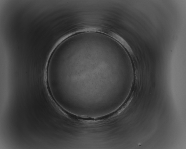 X0000100781436200806191253