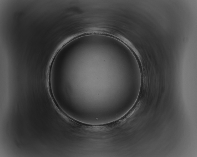 X0000100781437200806191253