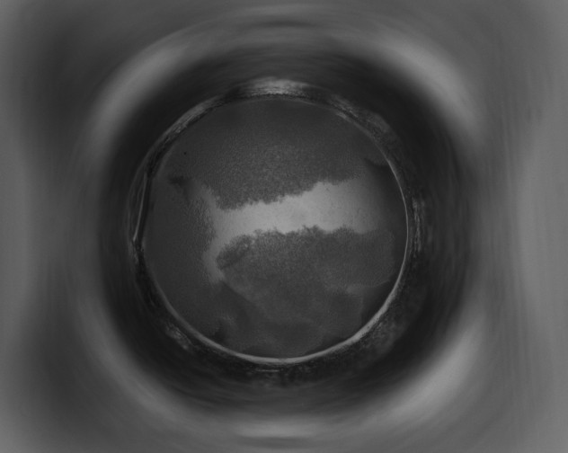 X0000100781438200806191253