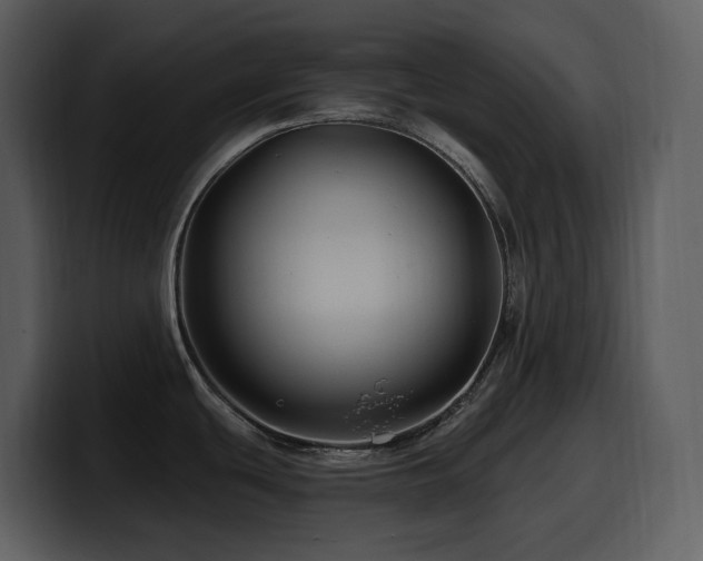 X0000100781439200806191253