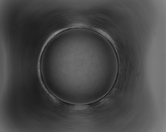 X0000100781440200806191253