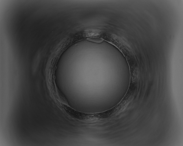 X0000100781441200806191252