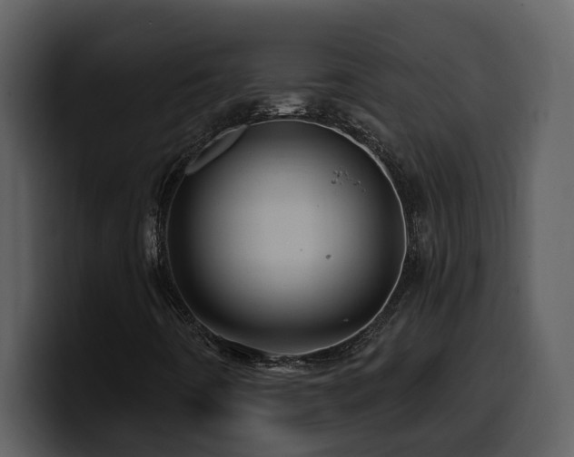 X0000100781442200806191252