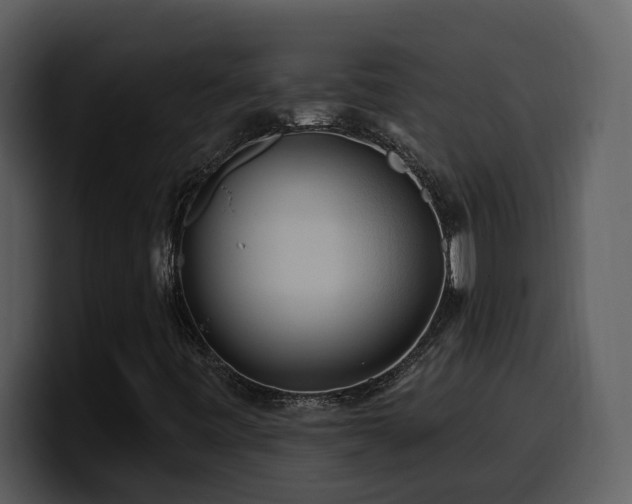 X0000100781443200806191252