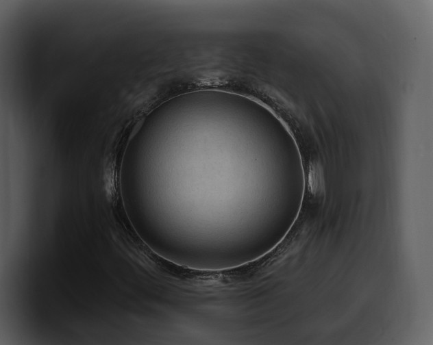 X0000100781444200806191252