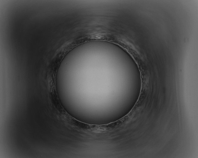 X0000100781446200806191252