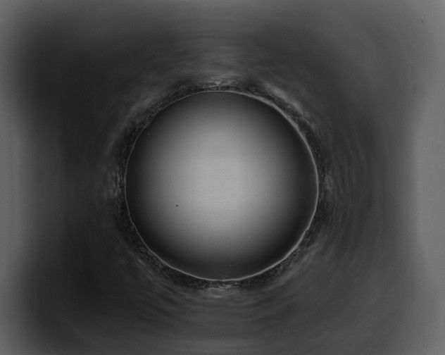 X0000100781447200806191252