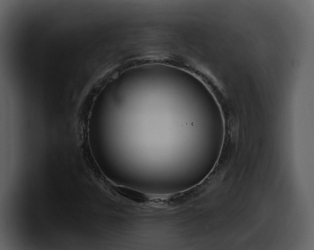 X0000100781448200806191252