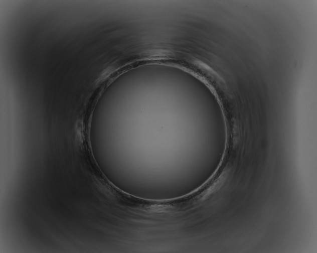 X0000100781449200806191252