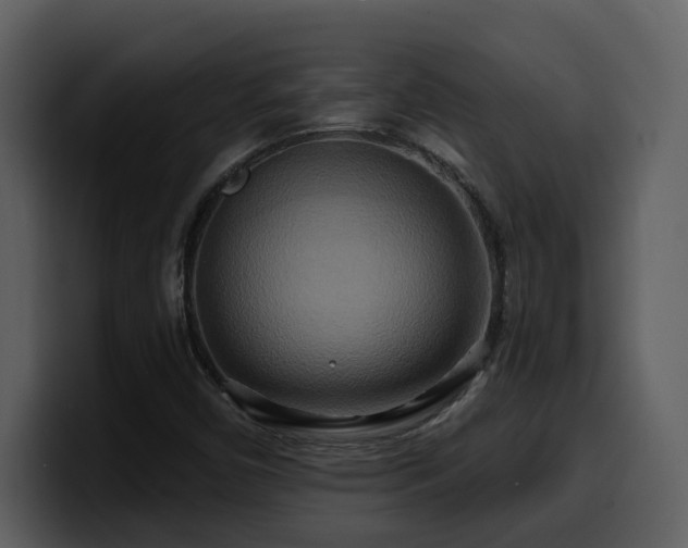 X0000100781450200806191252