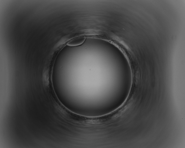 X0000100781451200806191252