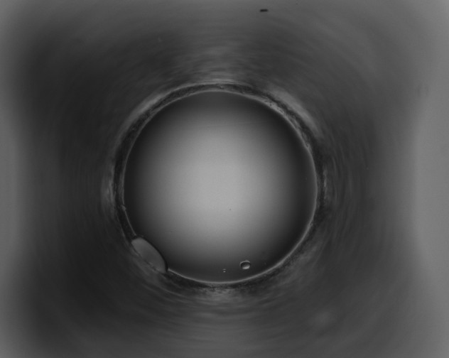 X0000100781452200806191252