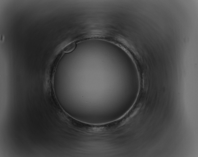 X0000100781453200806191252