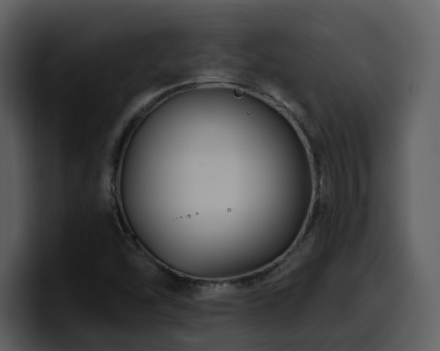 X0000100781454200806191252