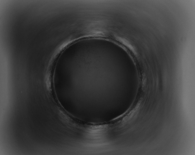 X0000100781455200806191252