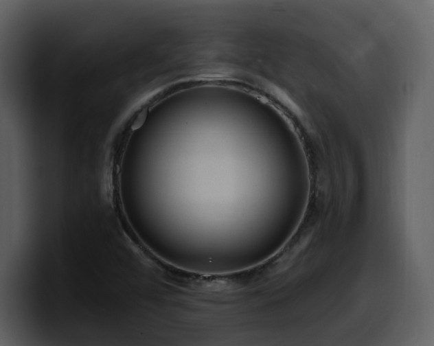 X0000100781456200806191252