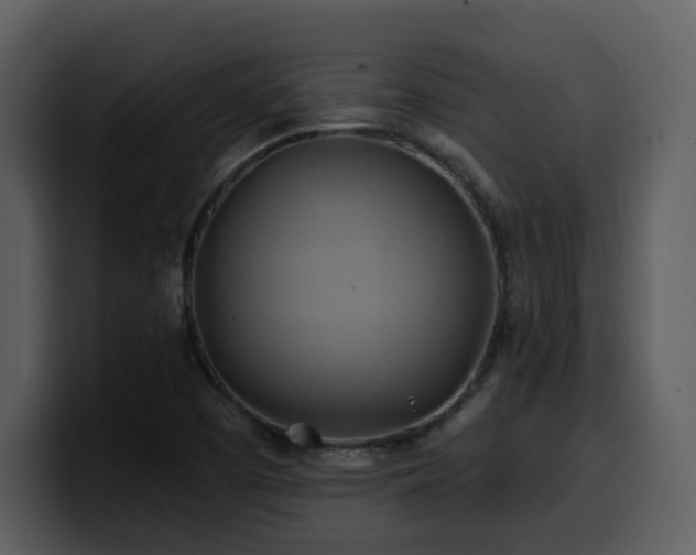 X0000100781457200806191252