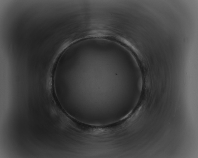 X0000100781459200806191252