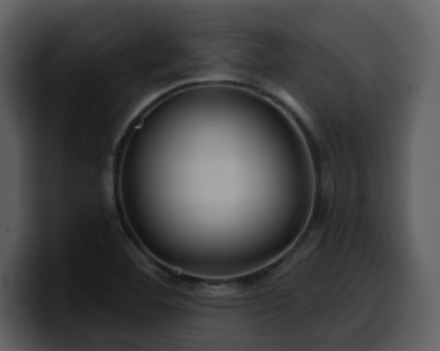 X0000100781460200806191252