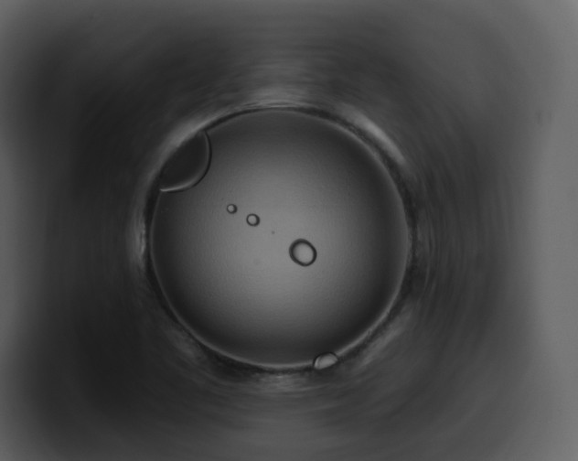 X0000100781461200806191252